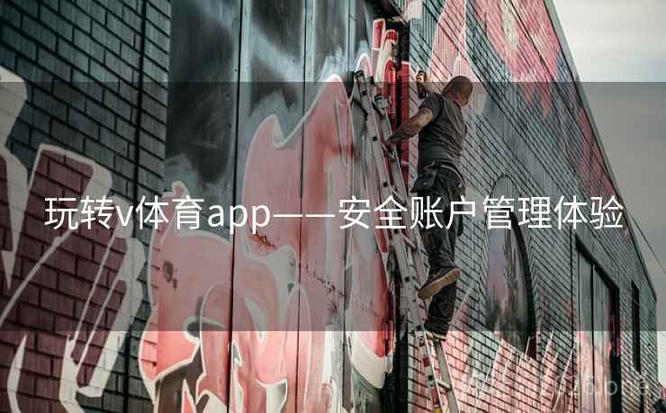 玩转v体育app——安全账户管理体验