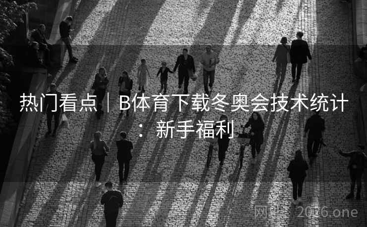 热门看点|B体育下载冬奥会技术统计:新手福利