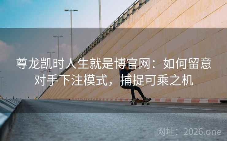 尊龙凯时人生就是博官网：如何留意对手下注模式，捕捉可乘之机