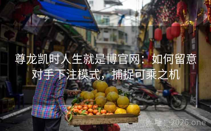 尊龙凯时人生就是博官网：如何留意对手下注模式，捕捉可乘之机