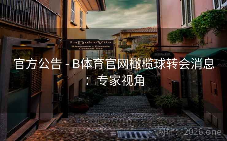 官方公告 - B体育官网橄榄球转会消息：专家视角