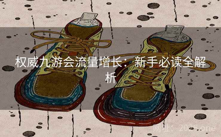权威九游会流量增长：新手必读全解析