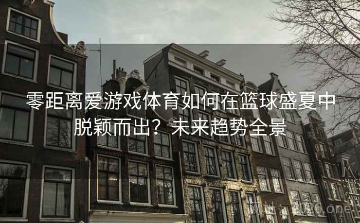 零距离爱游戏体育如何在篮球盛夏中脱颖而出？未来趋势全景