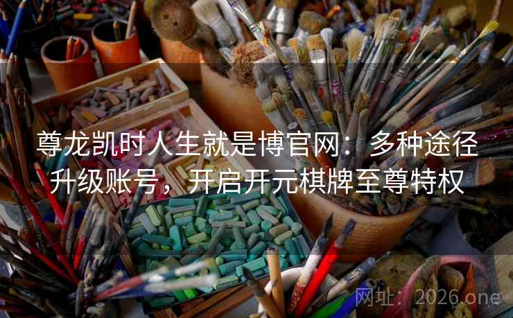 尊龙凯时人生就是博官网：多种途径升级账号，开启开元棋牌至尊特权