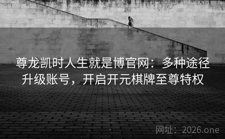 尊龙凯时人生就是博官网：多种途径升级账号，开启开元棋牌至尊特权