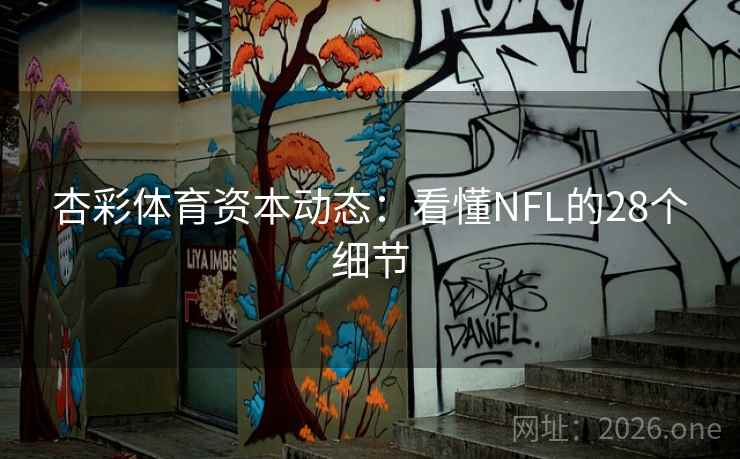 杏彩体育资本动态：看懂NFL的28个细节