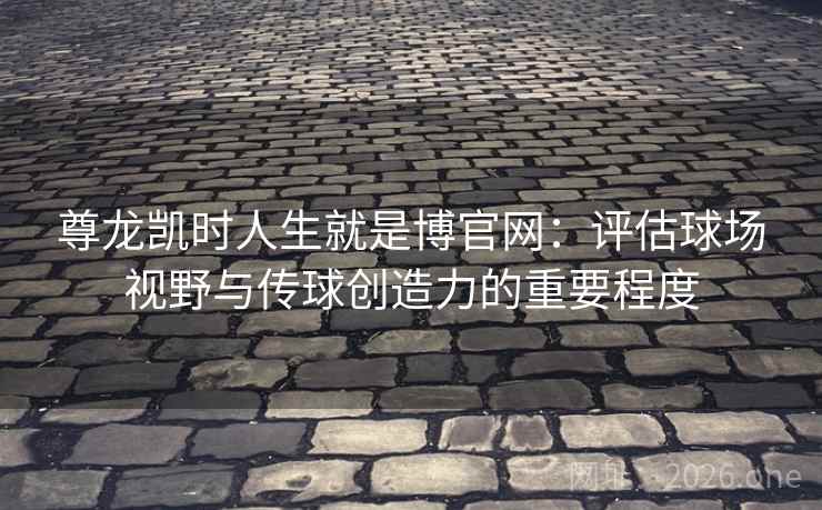 尊龙凯时人生就是博官网：评估球场视野与传球创造力的重要程度