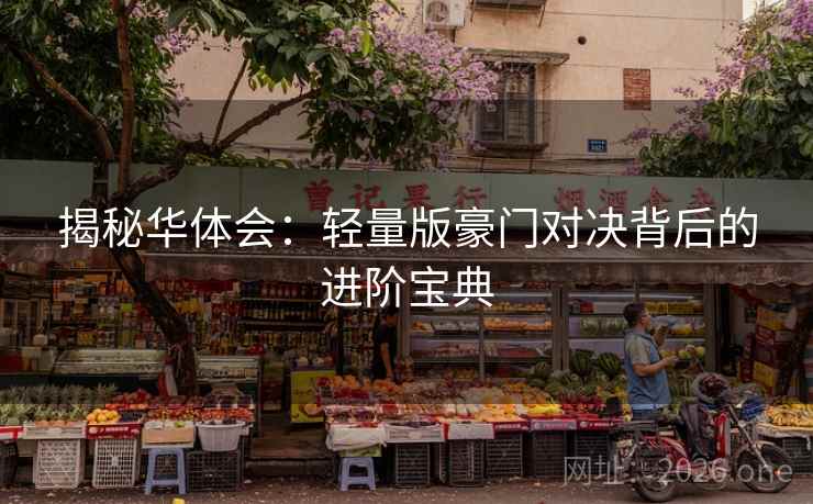 揭秘华体会：轻量版豪门对决背后的进阶宝典
