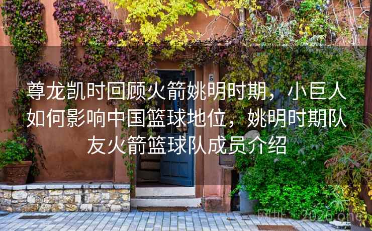 尊龙凯时回顾火箭姚明时期，小巨人如何影响中国篮球地位，姚明时期队友火箭篮球队成员介绍