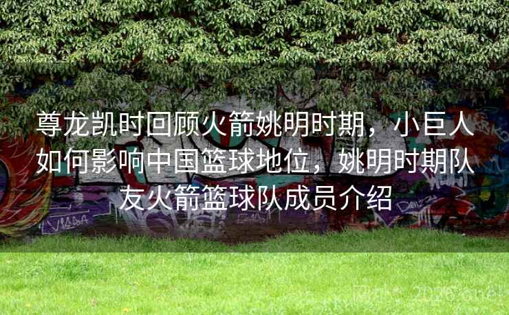 尊龙凯时回顾火箭姚明时期，小巨人如何影响中国篮球地位，姚明时期队友火箭篮球队成员介绍