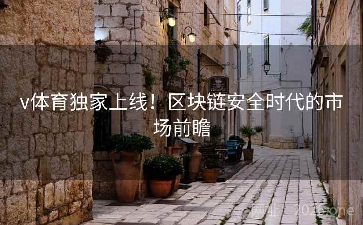 v体育独家上线！区块链安全时代的市场前瞻