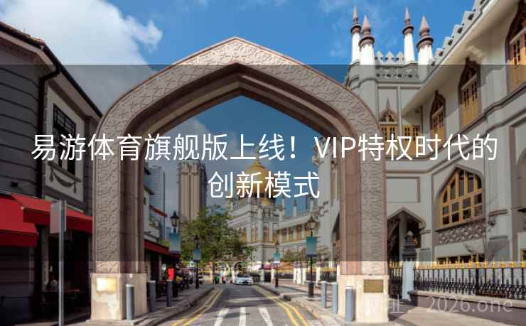 易游体育旗舰版上线！VIP特权时代的创新模式