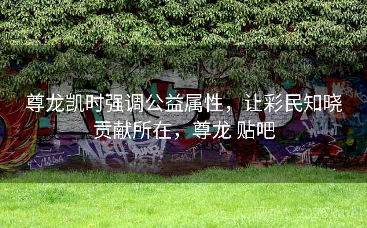 尊龙凯时强调公益属性，让彩民知晓贡献所在，尊龙 贴吧