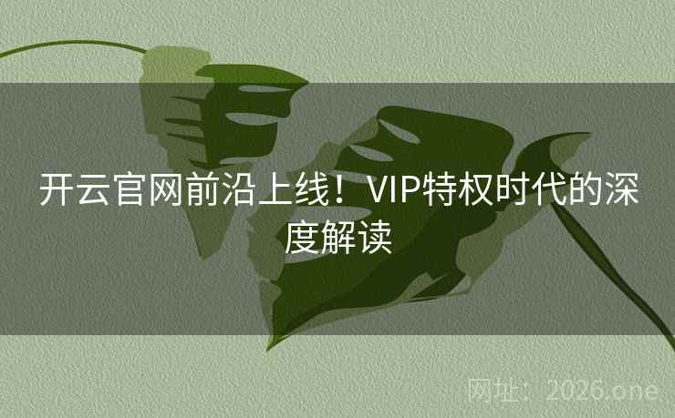 开云官网前沿上线！VIP特权时代的深度解读