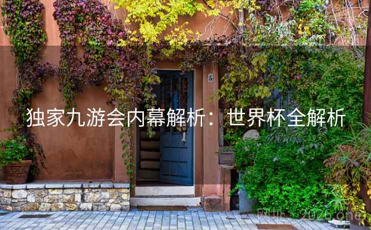 独家九游会内幕解析：世界杯全解析