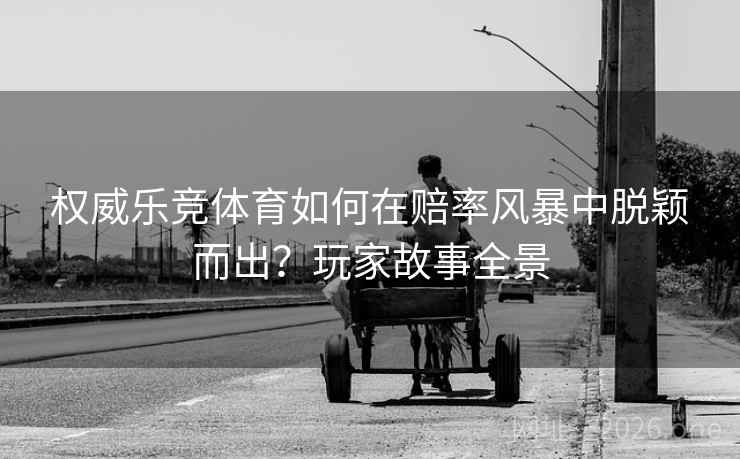 权威乐竞体育如何在赔率风暴中脱颖而出？玩家故事全景