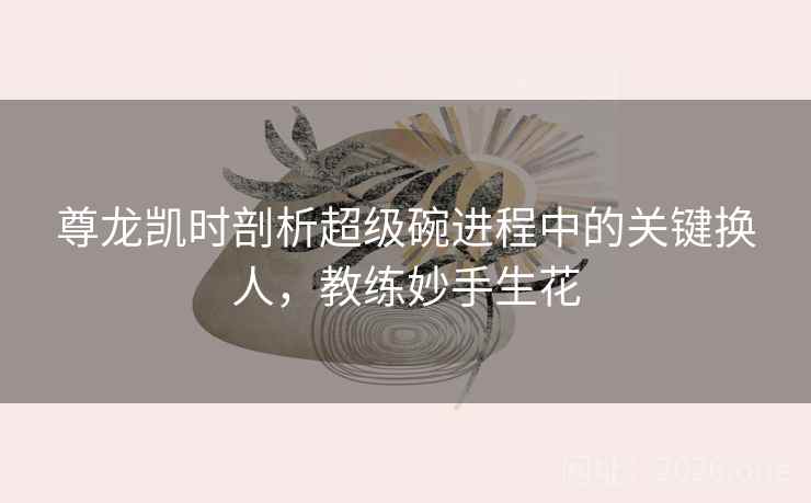 尊龙凯时剖析超级碗进程中的关键换人，教练妙手生花