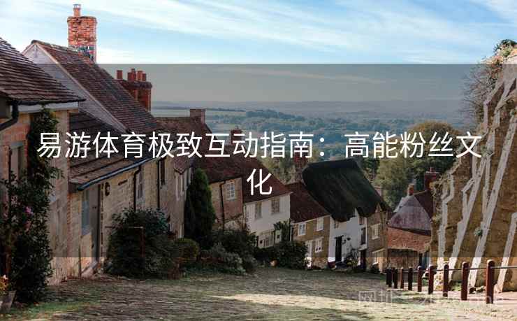 易游体育极致互动指南：高能粉丝文化