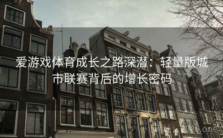 爱游戏体育成长之路深潜：轻量版城市联赛背后的增长密码